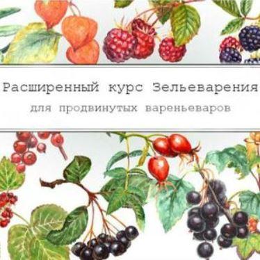 [dom_ulitki] Курс зельеварения "Летние Ягоды" (Ирина Таро)