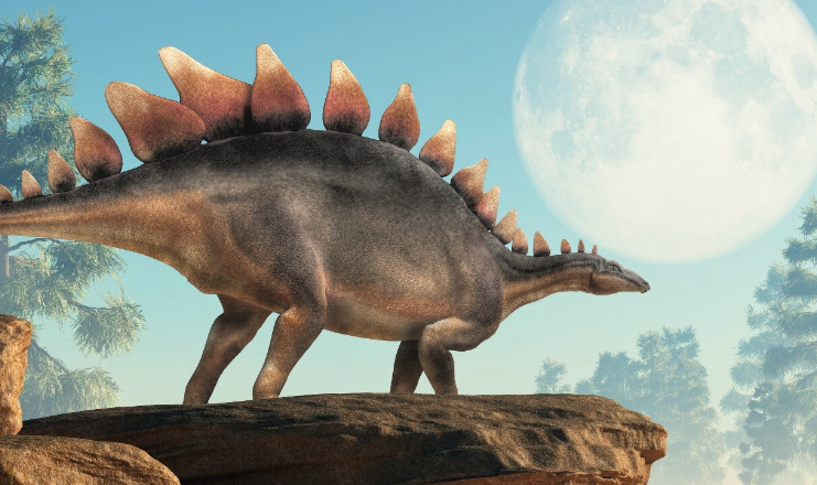 Травоядные против хищников (Александр Толмачёв)