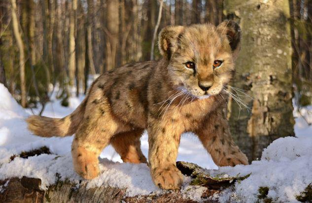 Игрушка Львенок (Катя Лейт)