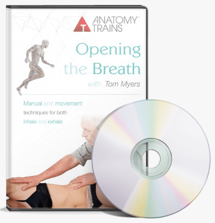 Opening the Breath w. Tom Myers. Открываем дыхание (Том Майерс)