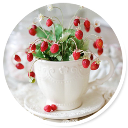 Лесная земляника (Алена Семенова)