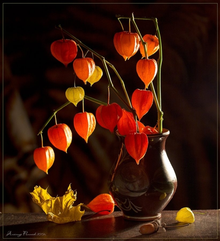 Голландский натюрморт в технике жидкое масло. Натюрморт с физалисом (Надежда Ильина)