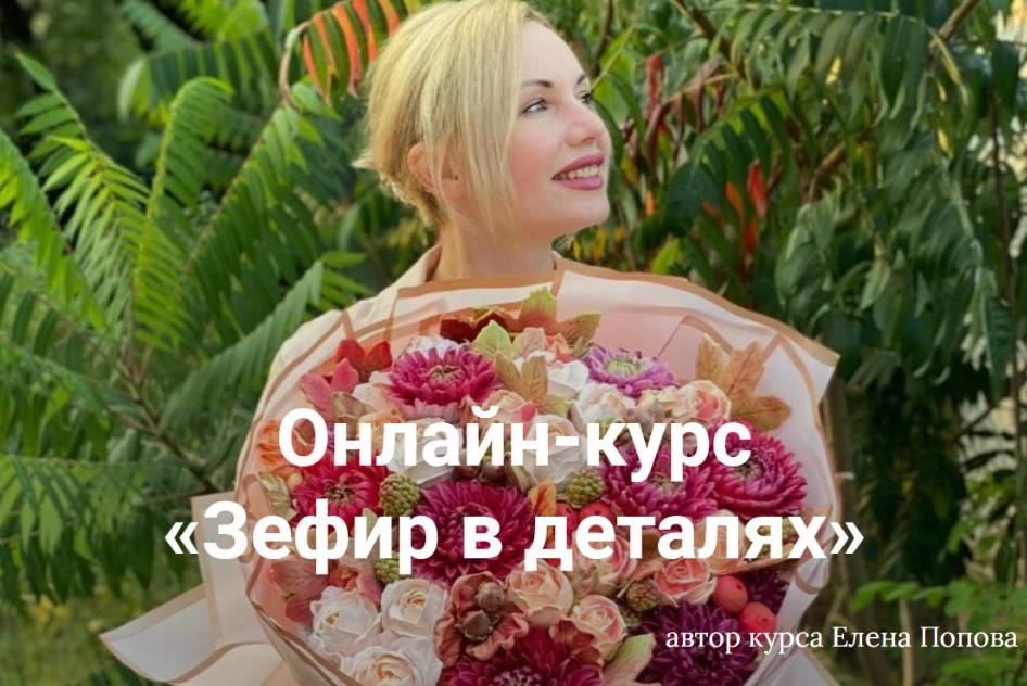 Зефир в деталях. Тариф Продвинутый (Елена Попова)