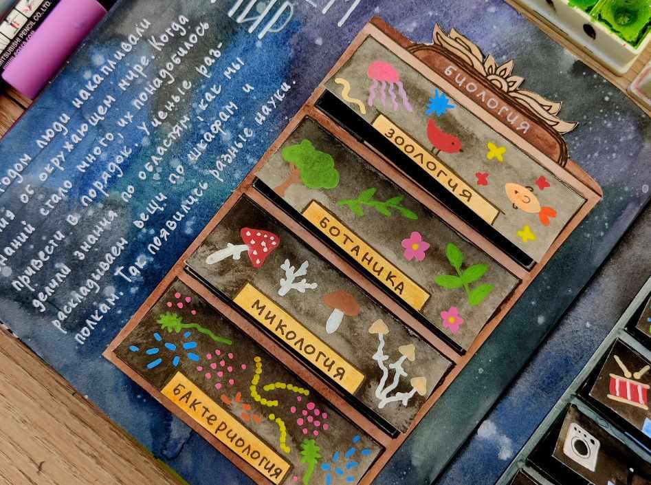 [hurlyburlyschool] Окружающий мир. Блок 17 (Ольга Сафронова)