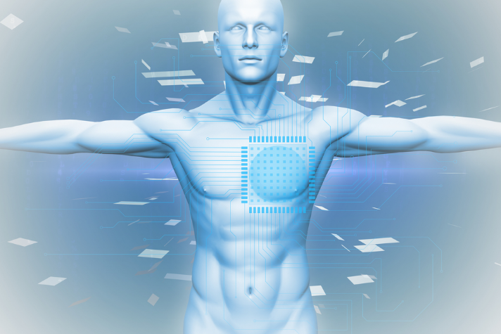 Биохакинг фазы (Михаил Радуга, Андрей Шашков, Виктор Панкратов)