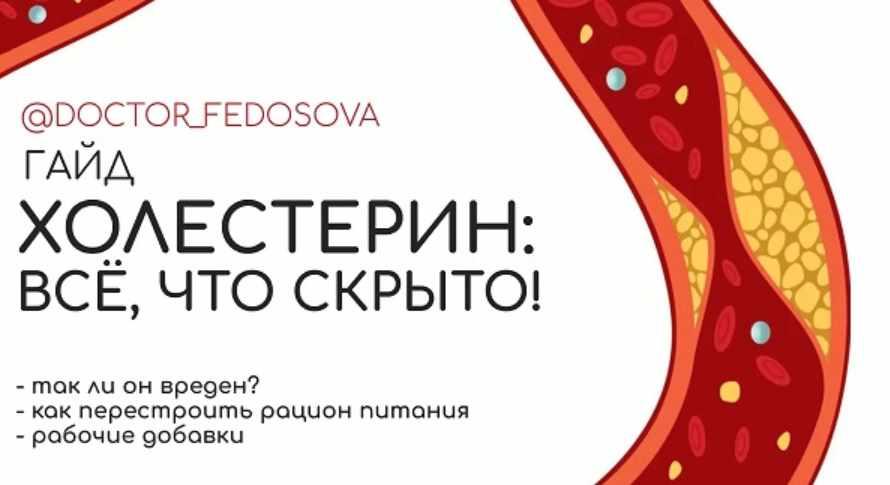 Гайд "Холестерин: всё, что скрыто!" (Лидия Федосова)