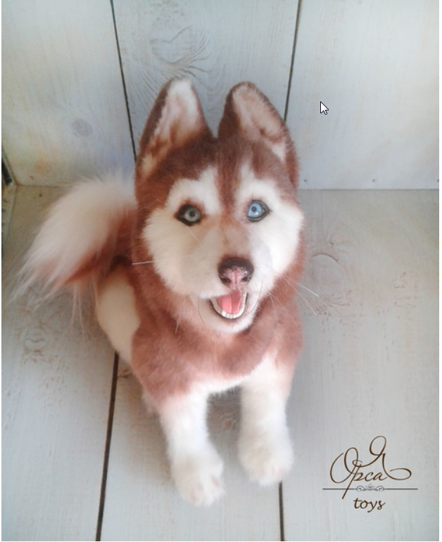 Видеокурс "Хаски" стиль натюр (Янина Орса)