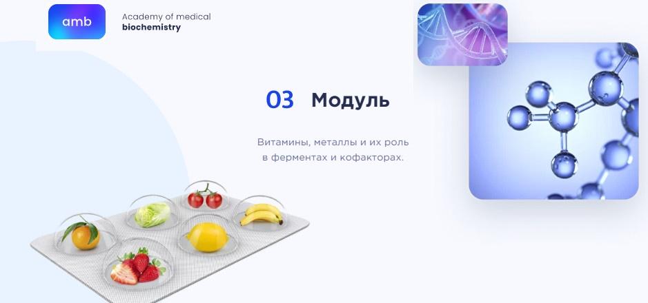 [amb] Основы биохимии. 3 модуль (Елизавета Радевич)