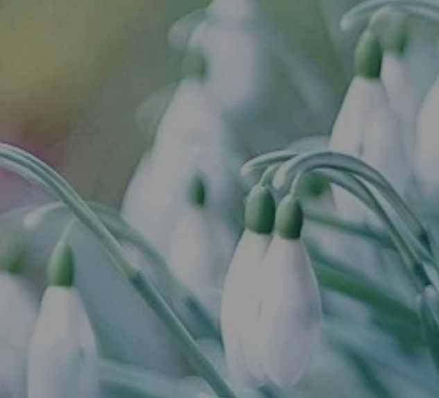 Тело человека модуль 1 (Христина Жарикова)