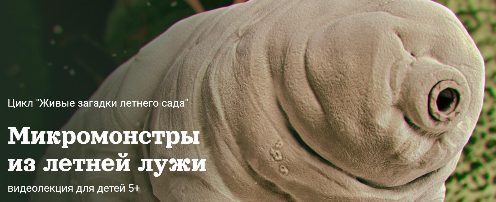 [Детский лекторий] Микромонстры  из летней лужи (Александр Толмачев)