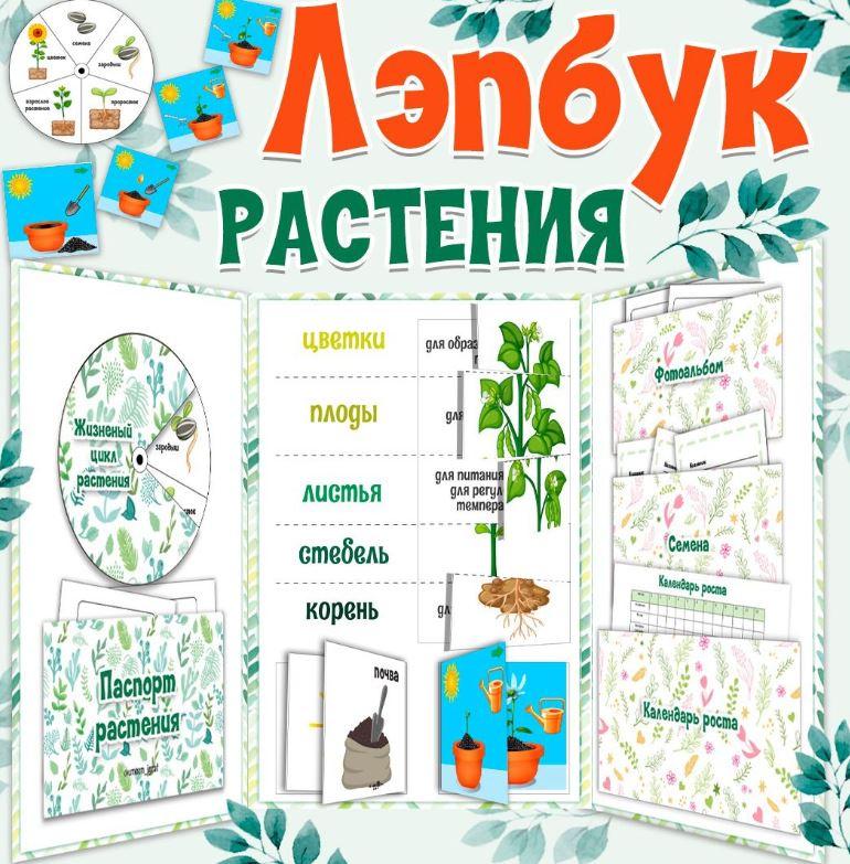 [umeem_igrat] Лэпбук. Растения (Алсу Хаметова)