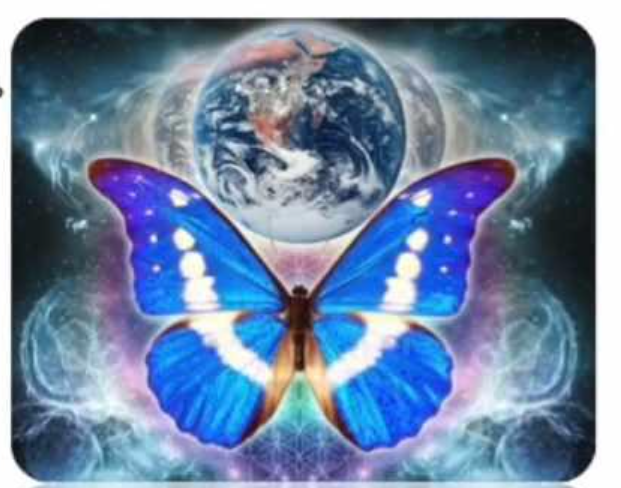 Как жить на Земле различным категориям Душ (Елена Давыдова)