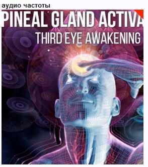 [Qi Life] Медитация активатора шишковидной железы  (David Wong)