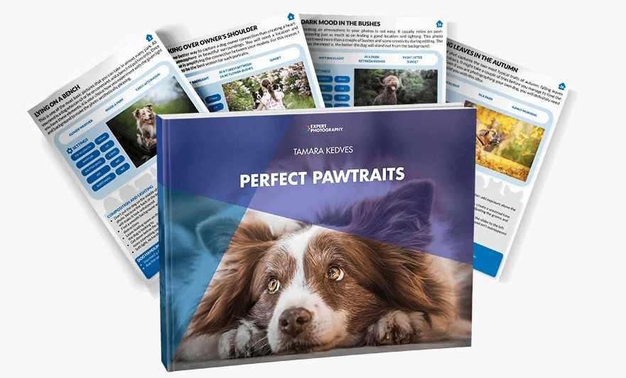 Идеальные Pawtraits (Тамара Кедвес)