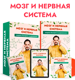 [Центр здоровья Ksamata] Мозг и нервная система (Данила Сусак)