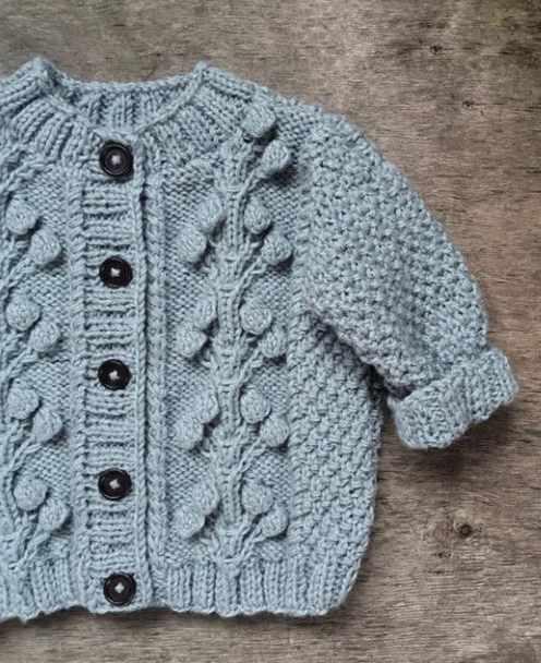 Смородиновый кардиган спицами (ayueva_marina)