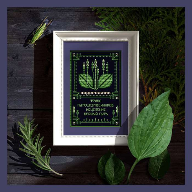[Sventana] 0985-079. Подорожник | Оберег + 22 Элемент травника (Светлана Бойко)
