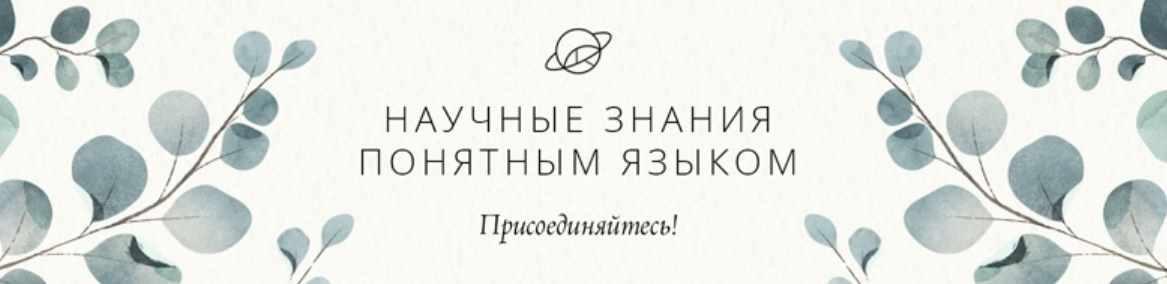 [Учебный центр Обитель] Фитотерапия и беременность (Яна Горбовская)