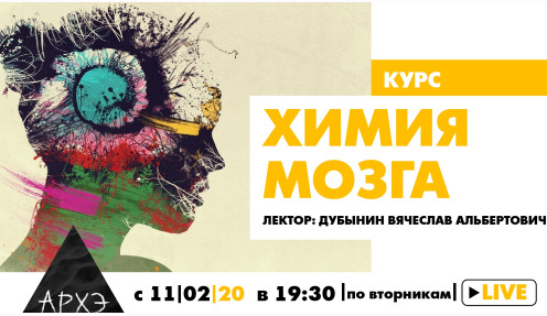 [Архэ] Химия мозга 2020 (Вячеслав Дубынин)