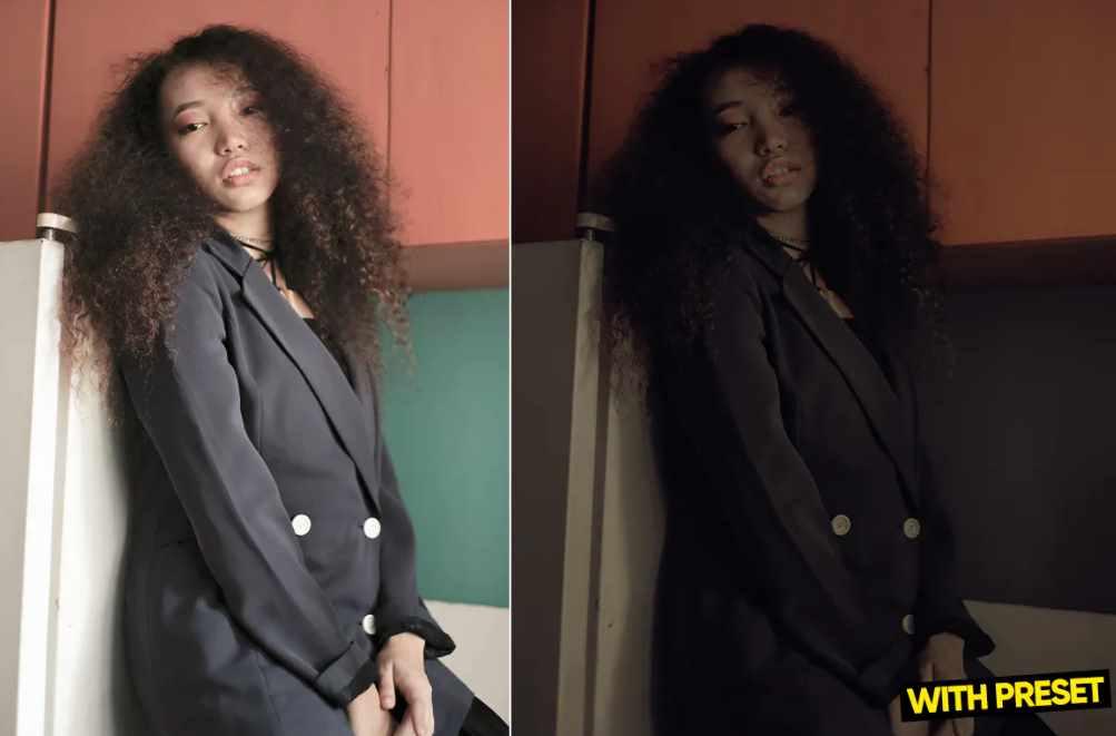 [Envato Market] ARTA - Отключите Пресеты для Lightroom, фото 1 из 1.