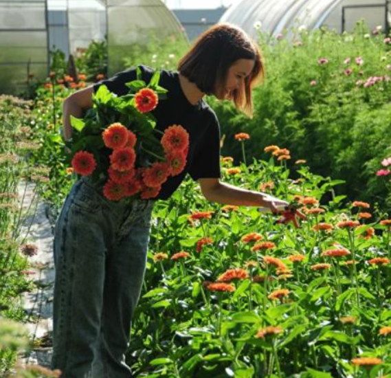 Маленькая цветочная ферма-2021 (Екатерина Фролова)