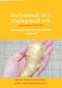 [Fermenterra] Имбирный уксус (Анна Fermenterra)