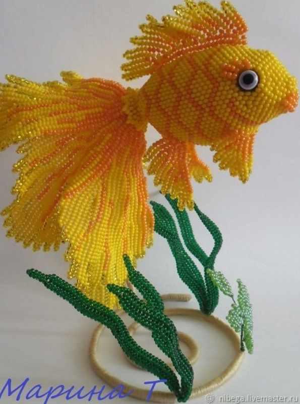 Золотая рыбка (Марина Танкевич)