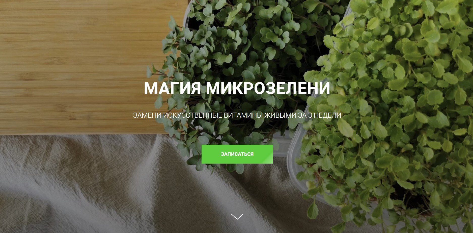 Магия микрозелени (Ольга Халина)