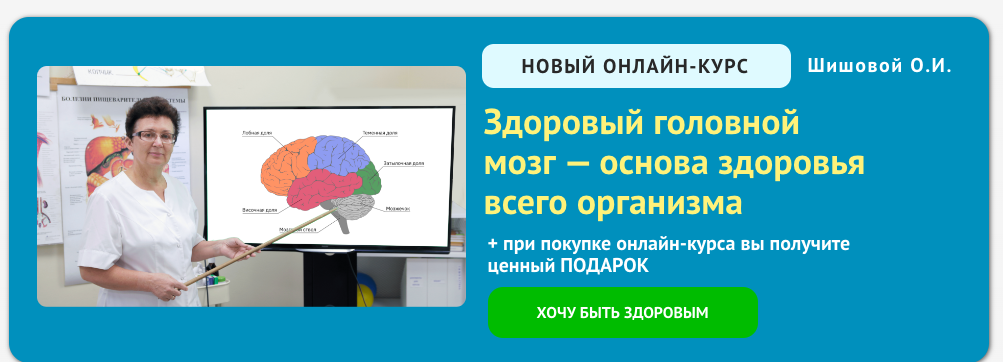 Здоровый головной мозг — основа здоровья всего организма (Ольга Шишова)