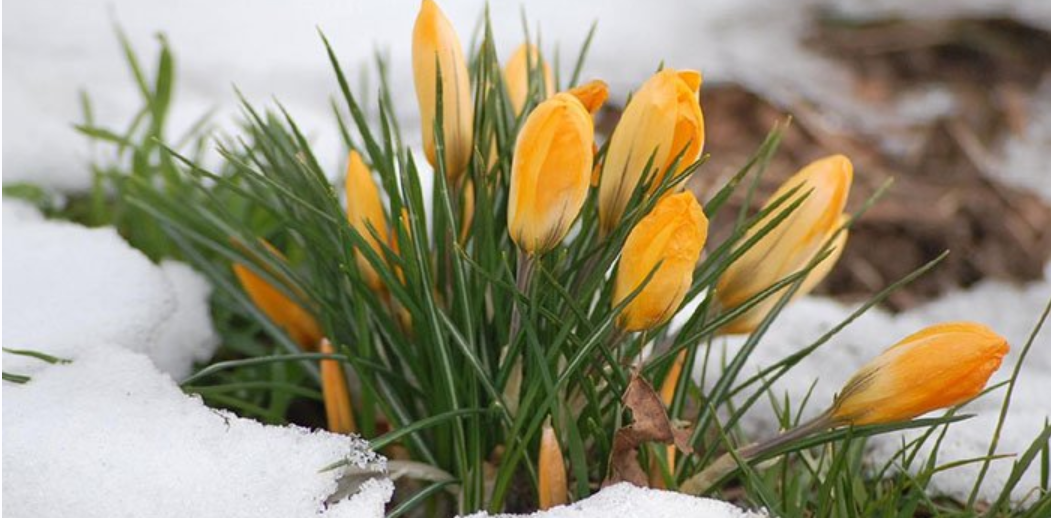 Мандала на любовь (Ксения Силаева)