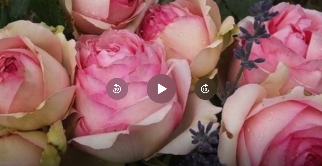 Видео мастер-класс роза First lady из фоамирана (Алена Семенова)