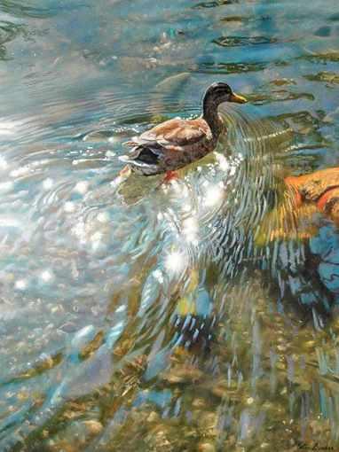 Солнечный день. Уточка и блики на воде (Татьяна Букреева)