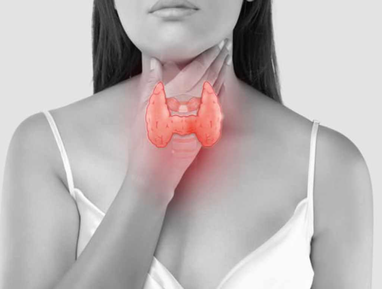 [Времени нет] Секреты здоровой щитовидки. Спецпоток. 6 эфиров (Татьяна Левищева, Ольга Абакумова)