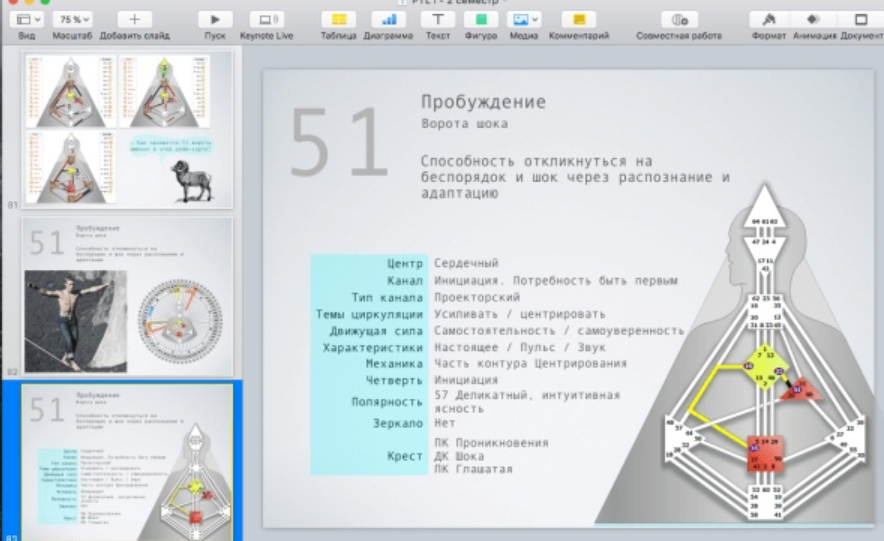 [Дизайн Человека] Курс «PTL I» месяц 7 (Виктор Крючков)