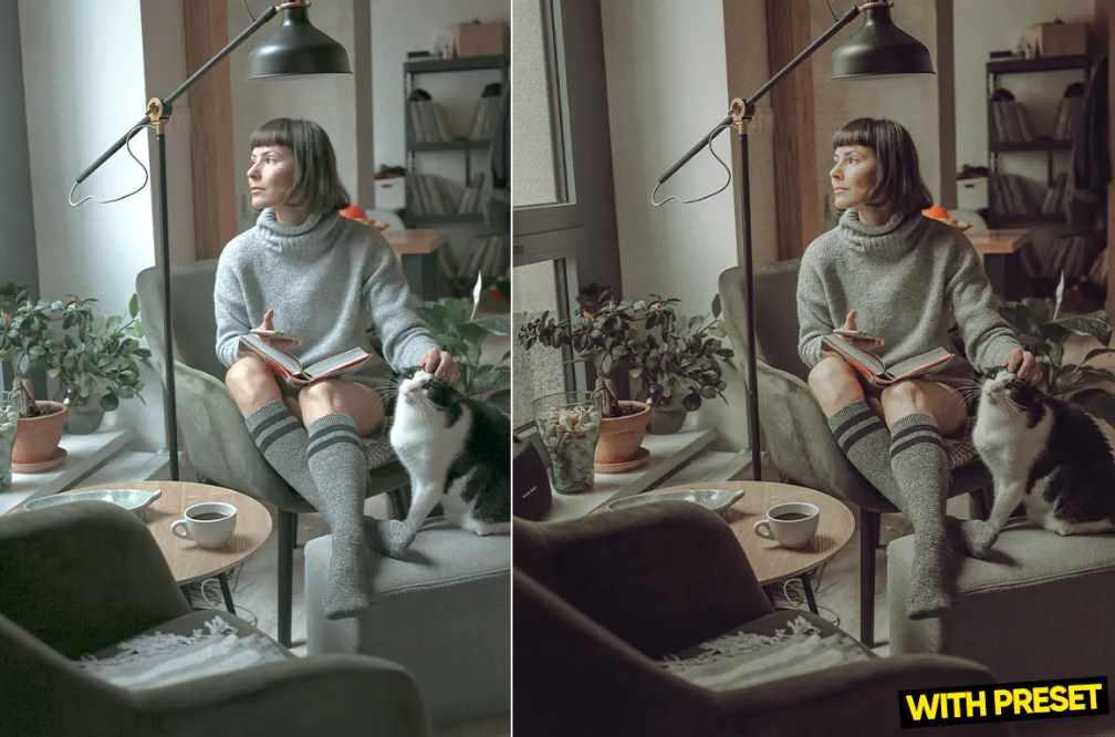 [Envato Market] ARTA - пресеты ленивого дня для Lightroom