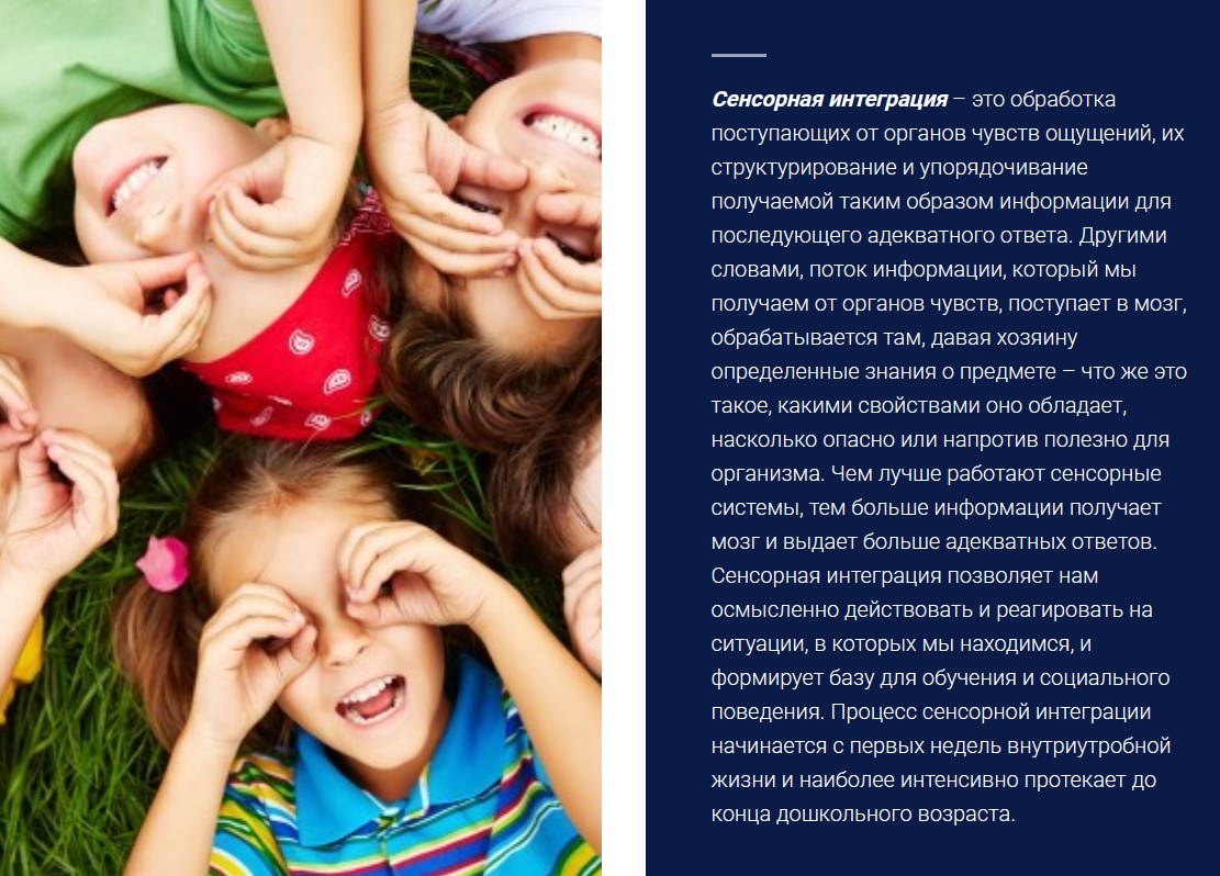 Диагностика и коррекция сенсорных нарушений у детей. Основы эрготерапии (Виктория Осипова)