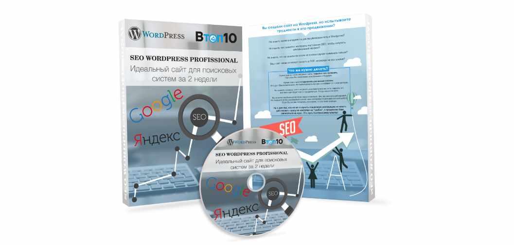 SEO wordpress professional Стандарт. Идеальный сайт для поисковых систем за 2 недели (Владимир Хомиченко)