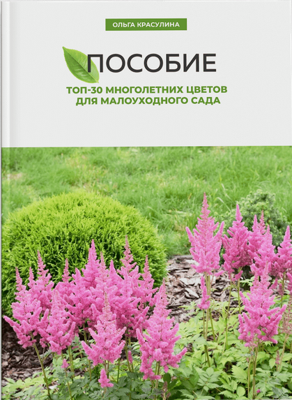 Топ-30 многолетних цветов для малоуходного сада (Ольга Красулина)
