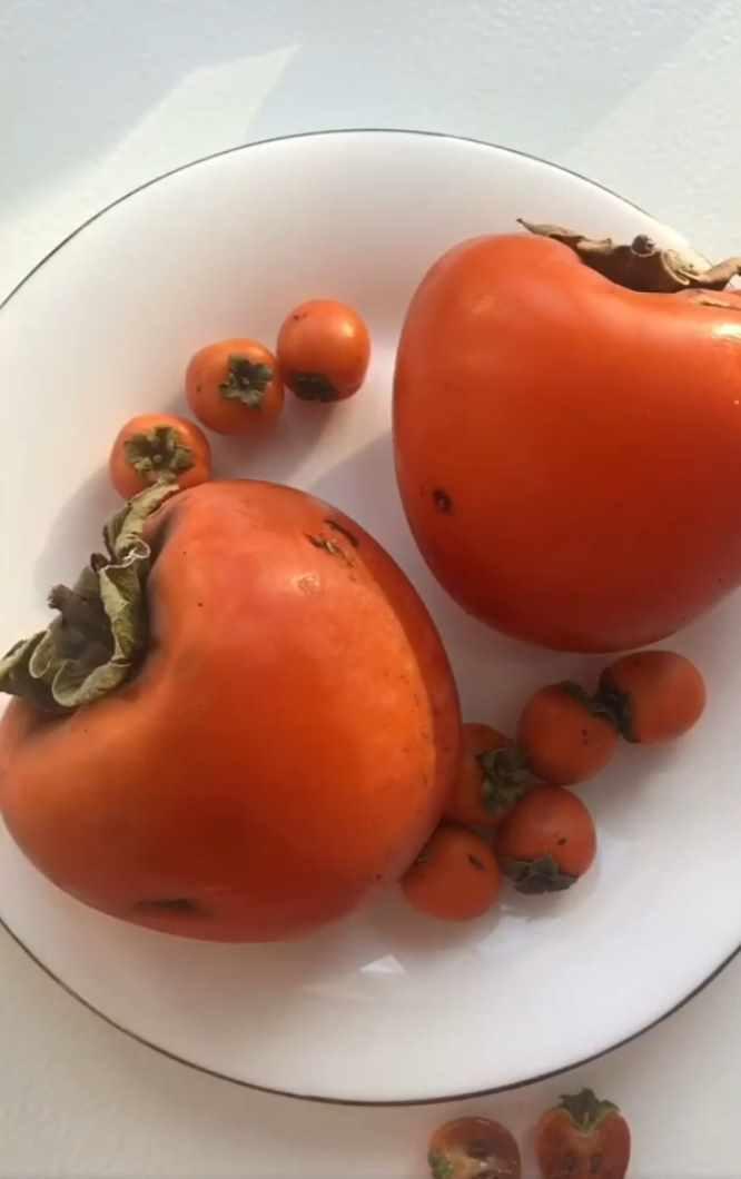 Как я делаю хурму из полимерной глины (magic_magic_garden)