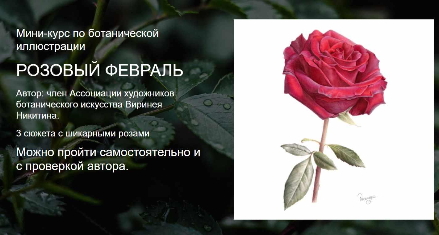 [Watermedia] Розовый февраль. Без проверки (Виринея Никитина)