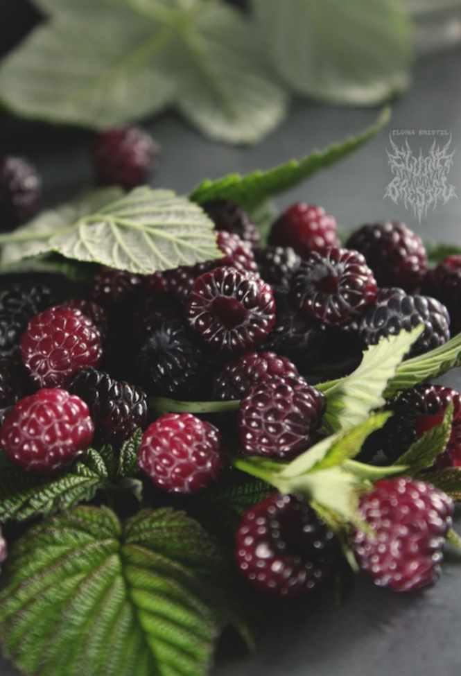 Ягодный тариф «Я справлюсь - я молодец!» (Эльвина Брестель)