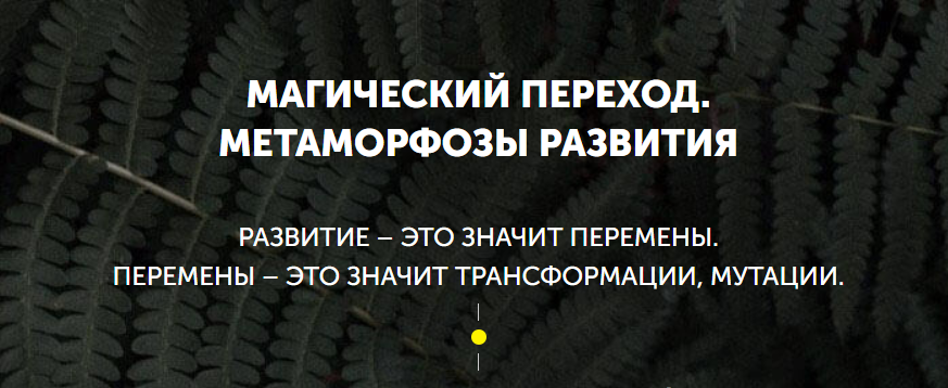 [Врата Миров] Магический переход. Метаморфозы развития 2023 (Ольга Веремеева)