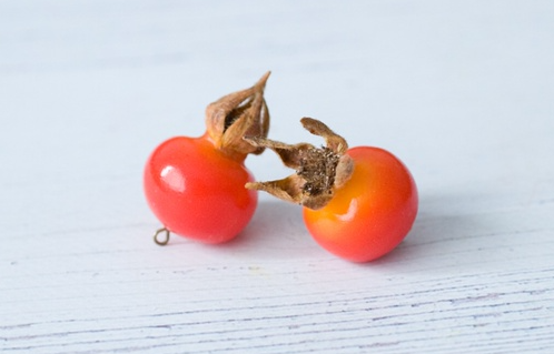 Мастер-класс "Шиповник" (Катя Килязова)