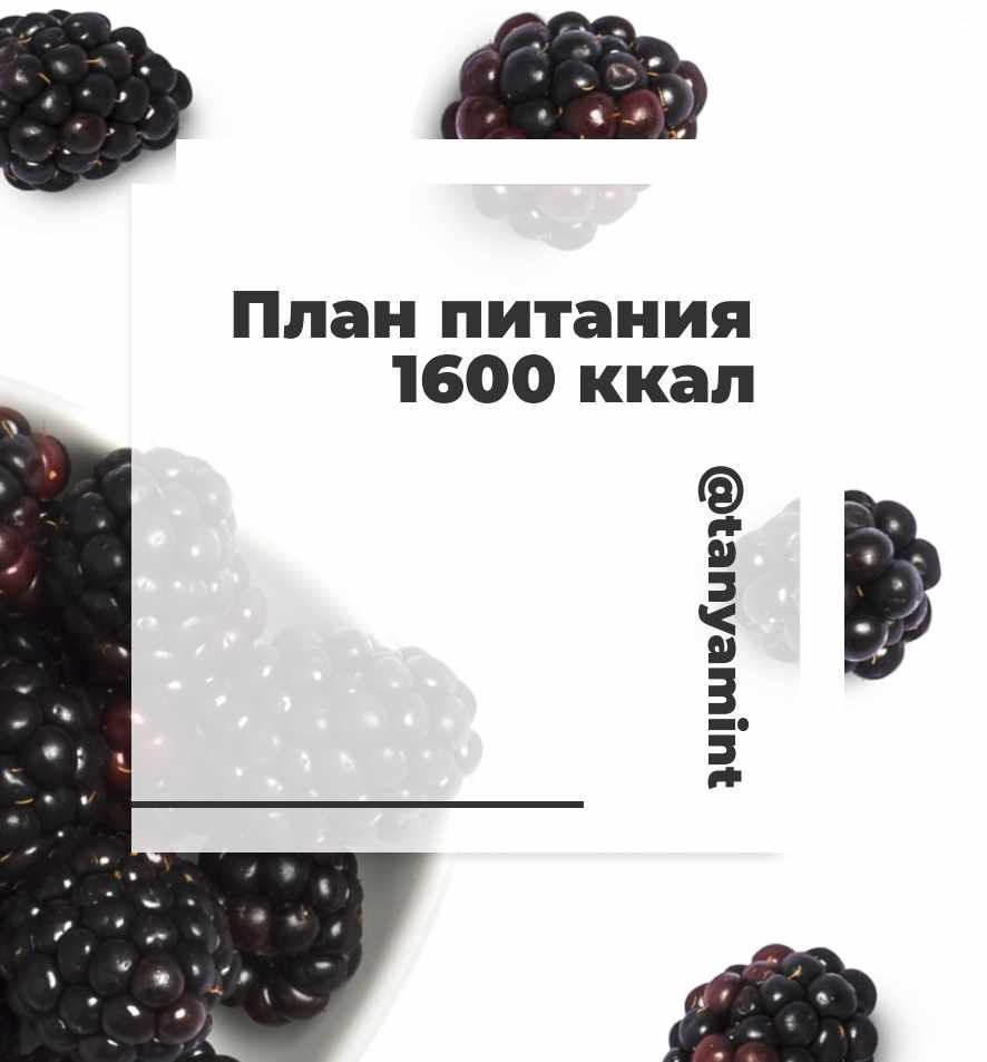 Планы питания 1600 ккал (Таня Минт)