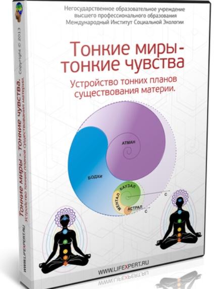 Тонкие миры - тонкие чувства. Устройство тонких планов существования материи (Вячеслав Губанов)