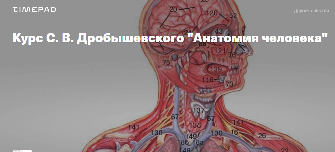 Анатомия человека (Станислав Дробышевский)