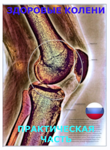 Мануал. Здоровые колени (Александр Булахов)