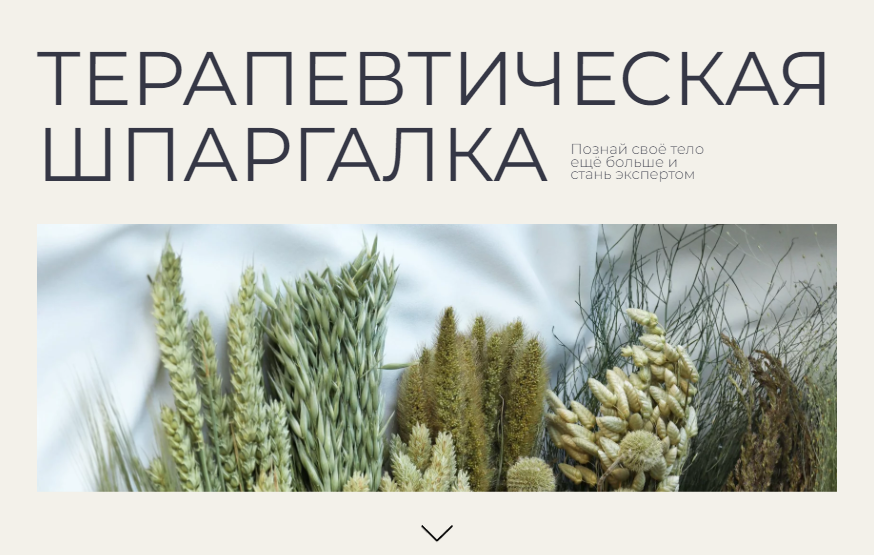 Терапевтическая шпаргалка (Гаяне Тандилян)