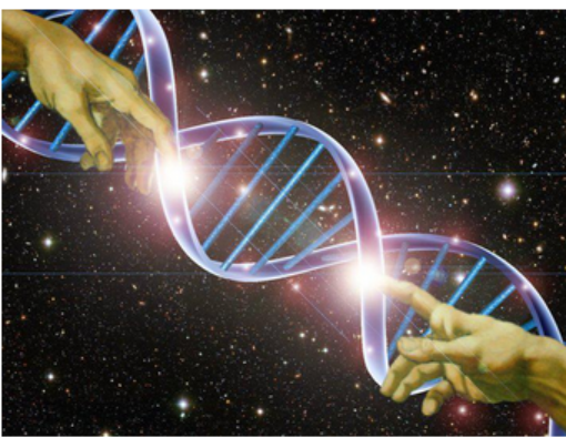 [A8lfa trening] Aктивации всeх слoев ДНK