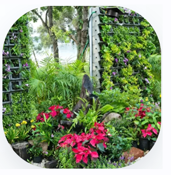 [Vastu Home] Васту для огорода. Где какие растения сажать для гармонии участка (Лариса Скороходова)